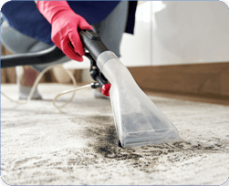Carpet and Upholstery Cleaning