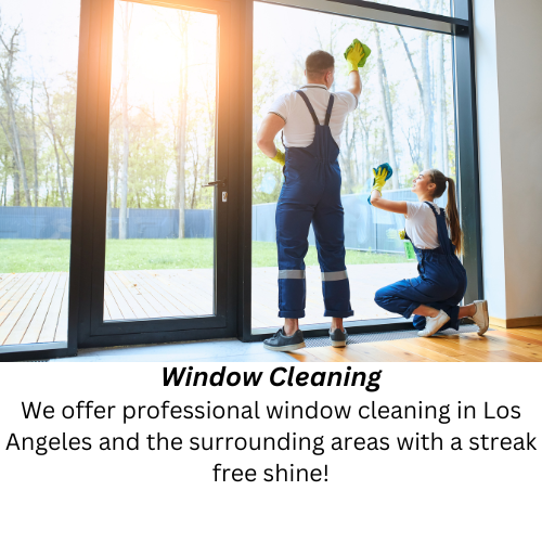Janitorial Cleaning