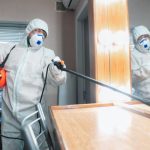 deep-cleaning-vs.-regular-cleaning-cleaning-types-comparison-qwrz4gwvzq8b29xmfuef9sgd56y6hmm4tvh505q5y8