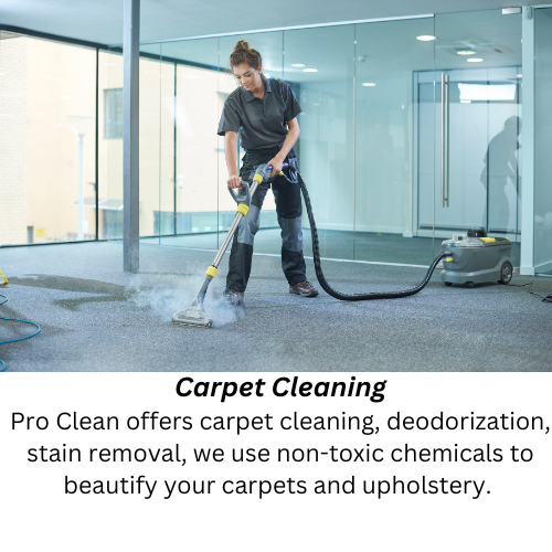 Janitorial Cleaning