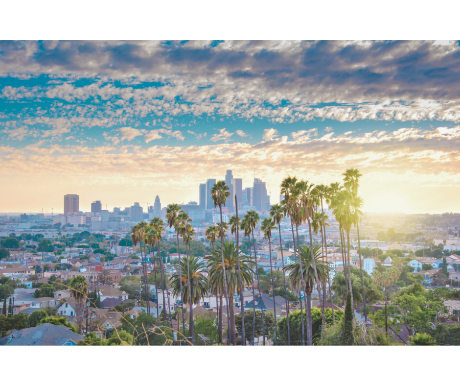 Los Angeles House Cleaning and Maid Service