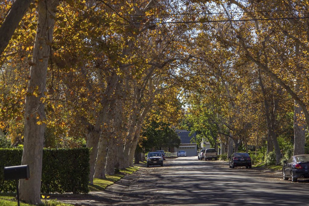 Valley Glen Cleaning
