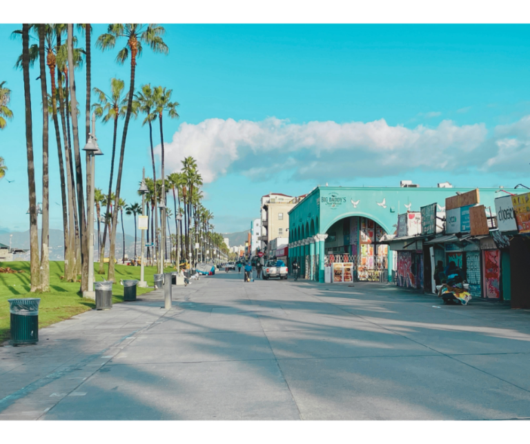 Venice Beach House Cleaning