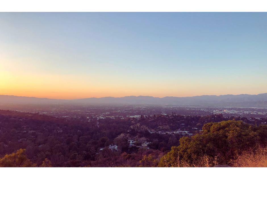 West Hills CA house cleaning