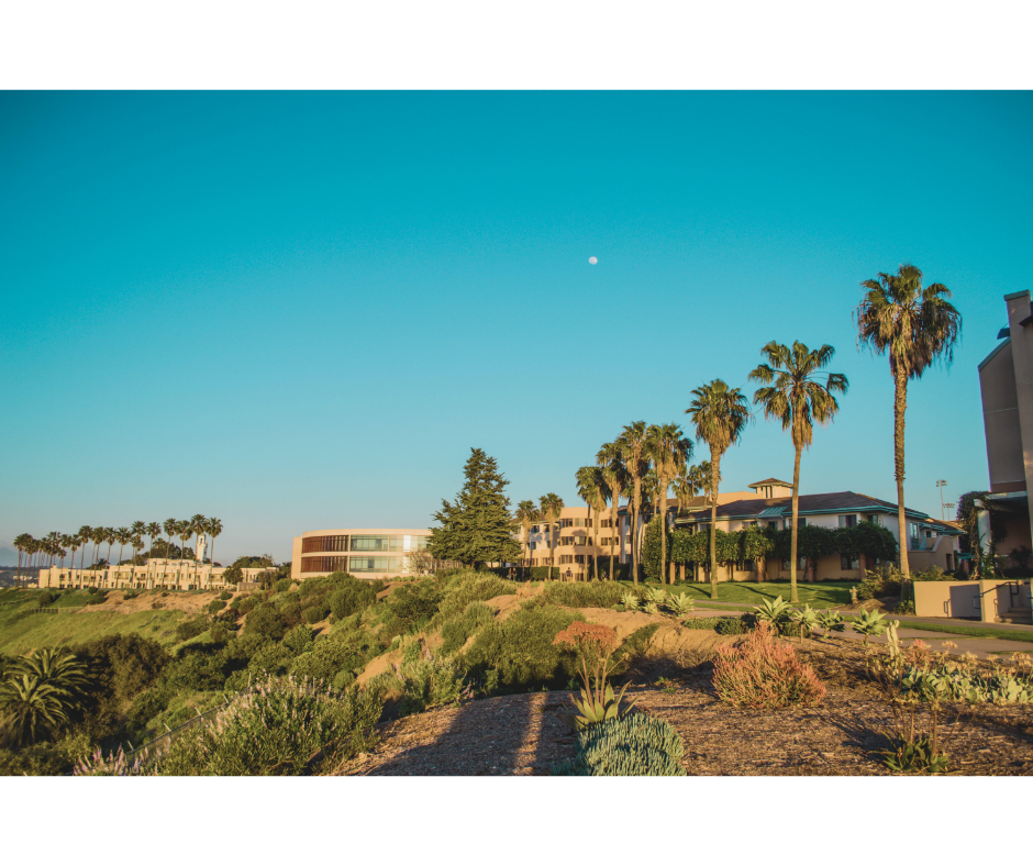 House Cleaning Westchester CA