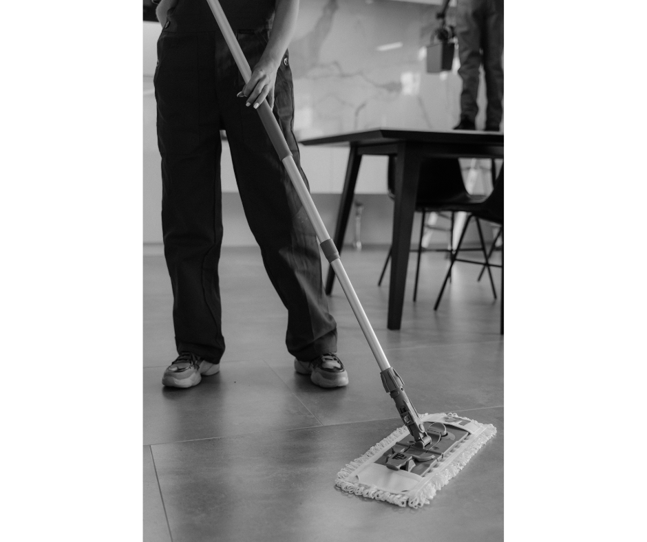 House Cleaning Dusting